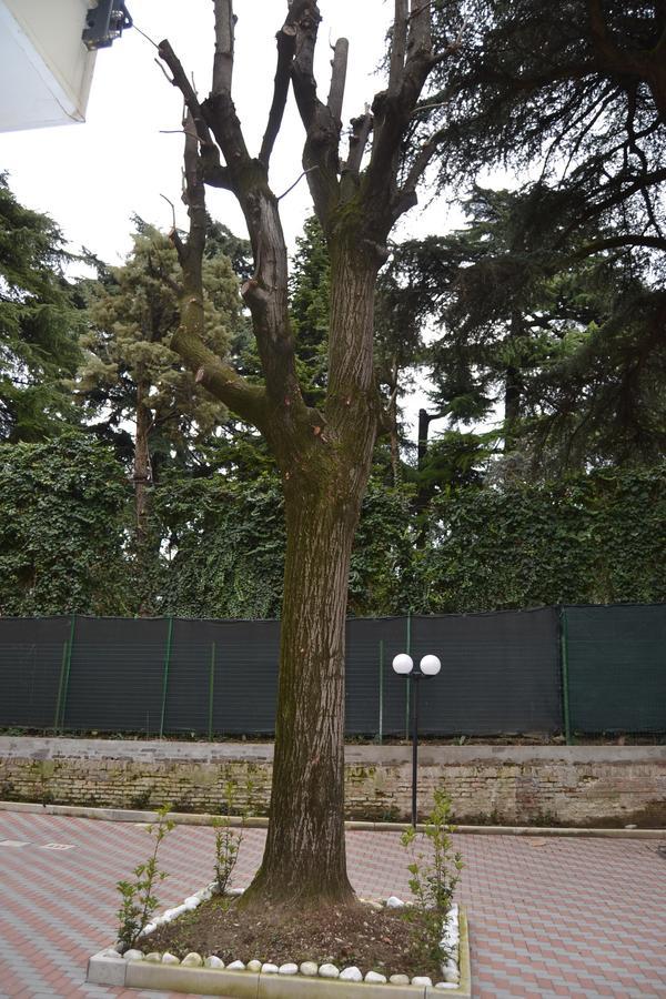Porte Di Bologna Exteriör bild
